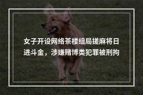 女子开设网络茶楼组局搓麻将日进斗金，涉嫌赌博类犯罪被刑拘