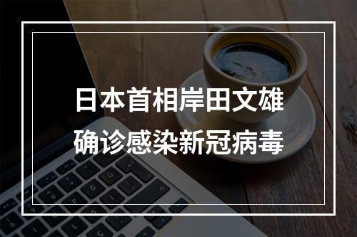 日本首相岸田文雄确诊感染新冠病毒