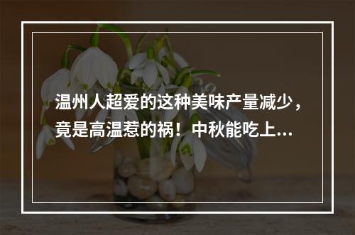 温州人超爱的这种美味产量减少，竟是高温惹的祸！中秋能吃上吗