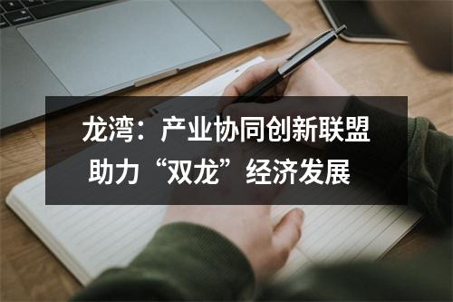 龙湾：产业协同创新联盟 助力“双龙”经济发展