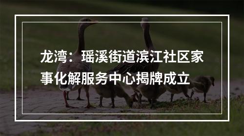 龙湾：瑶溪街道滨江社区家事化解服务中心揭牌成立