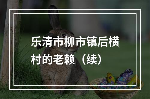乐清市柳市镇后横村的老赖（续）