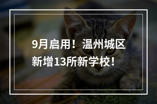 9月启用！温州城区新增13所新学校！