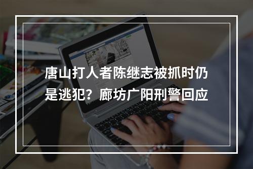 唐山打人者陈继志被抓时仍是逃犯？廊坊广阳刑警回应