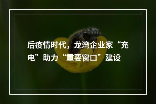 后疫情时代，龙湾企业家“充电”助力“重要窗口”建设