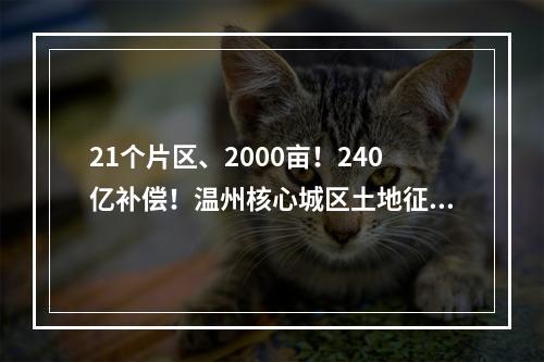 21个片区、2000亩！240亿补偿！温州核心城区土地征收拆迁计划公布！