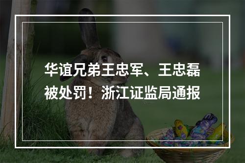 华谊兄弟王忠军、王忠磊被处罚！浙江证监局通报