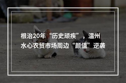 根治20年“历史顽疾”，温州水心农贸市场周边“颜值”逆袭