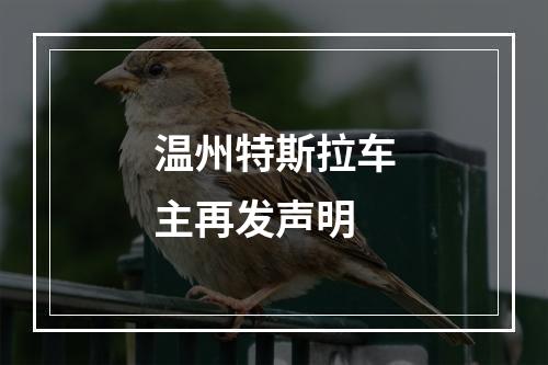 温州特斯拉车主再发声明