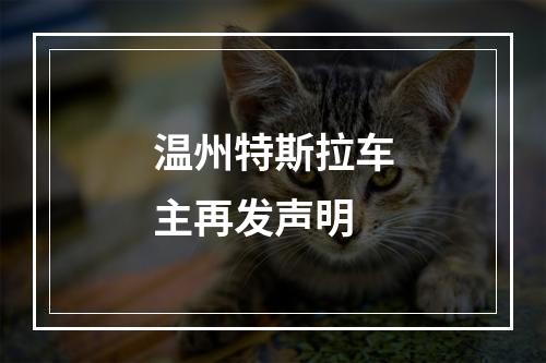 温州特斯拉车主再发声明