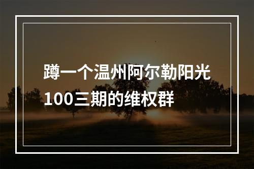 蹲一个温州阿尔勒阳光100三期的维权群