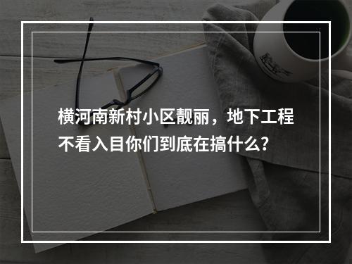 横河南新村小区靓丽，地下工程不看入目你们到底在搞什么？