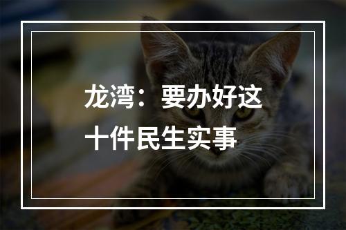 龙湾：要办好这十件民生实事