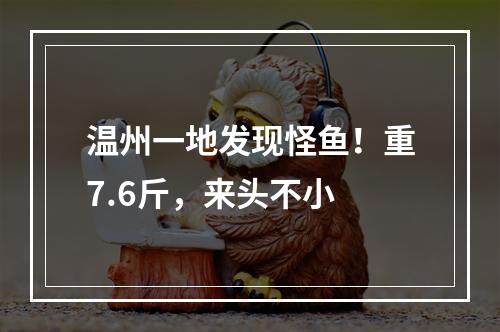 温州一地发现怪鱼！重7.6斤，来头不小