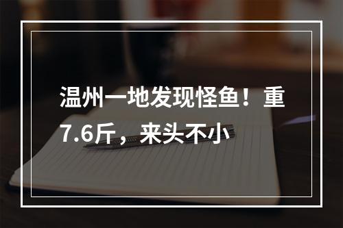 温州一地发现怪鱼！重7.6斤，来头不小