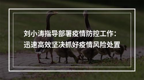 刘小涛指导部署疫情防控工作：迅速高效坚决抓好疫情风险处置