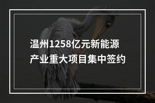 温州1258亿元新能源产业重大项目集中签约