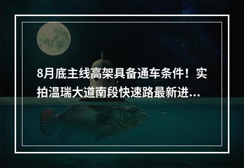 8月底主线高架具备通车条件！实拍温瑞大道南段快速路最新进展→