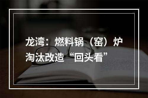 龙湾：燃料锅（窑）炉淘汰改造“回头看”