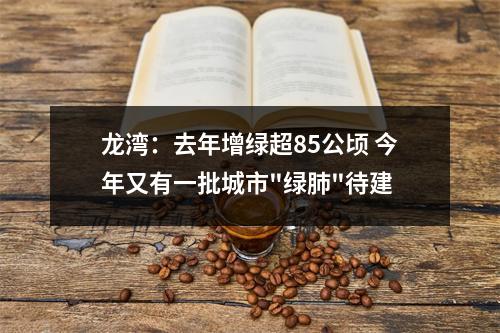 龙湾：去年增绿超85公顷 今年又有一批城市