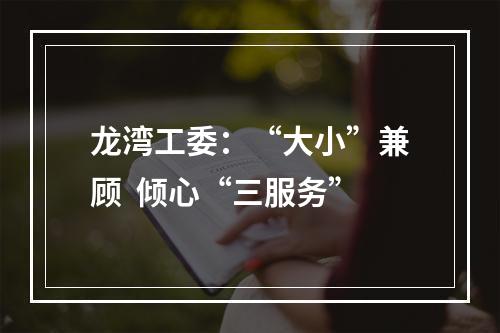 龙湾工委：“大小”兼顾  倾心“三服务”
