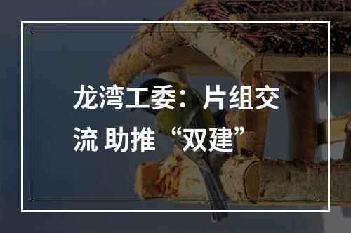 龙湾工委：片组交流 助推“双建”