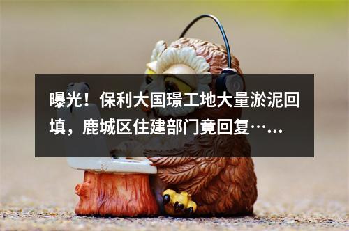 曝光！保利大国璟工地大量淤泥回填，鹿城区住建部门竟回复……