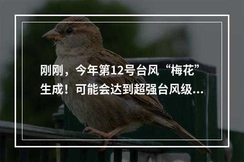 刚刚，今年第12号台风“梅花”生成！可能会达到超强台风级，未来路径变数大