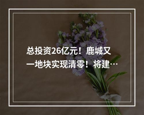 总投资26亿元！鹿城又一地块实现清零！将建…