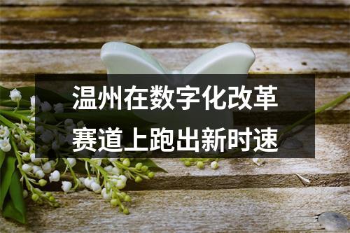 温州在数字化改革赛道上跑出新时速