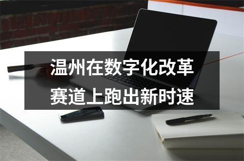 温州在数字化改革赛道上跑出新时速
