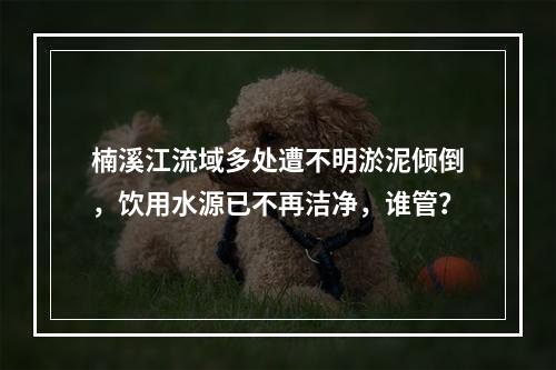 楠溪江流域多处遭不明淤泥倾倒，饮用水源已不再洁净，谁管？