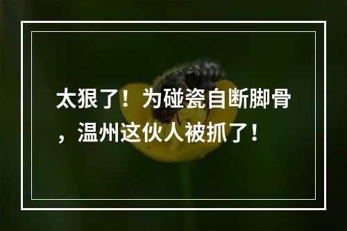 太狠了！为碰瓷自断脚骨，温州这伙人被抓了！