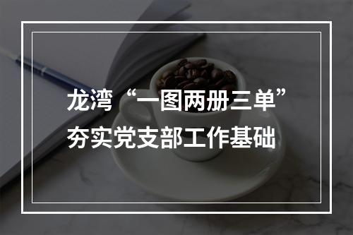 龙湾“一图两册三单”夯实党支部工作基础
