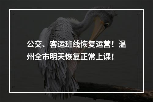 公交、客运班线恢复运营！温州全市明天恢复正常上课！