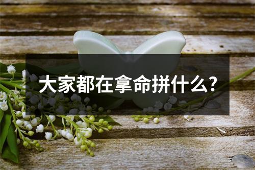 大家都在拿命拼什么?