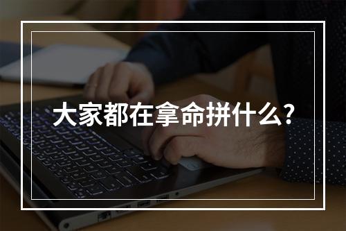 大家都在拿命拼什么?