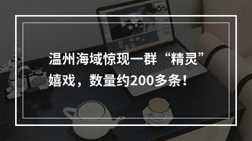 温州海域惊现一群“精灵”嬉戏，数量约200多条！