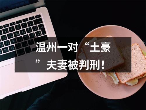 温州一对“土豪”夫妻被判刑！
