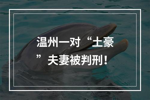 温州一对“土豪”夫妻被判刑！
