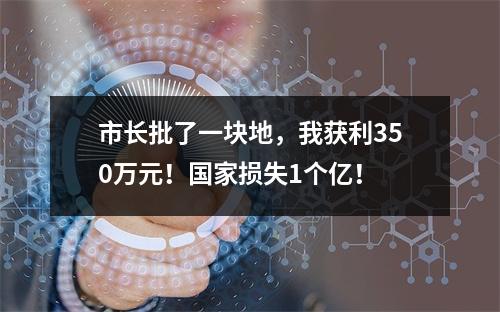市长批了一块地，我获利350万元！国家损失1个亿！