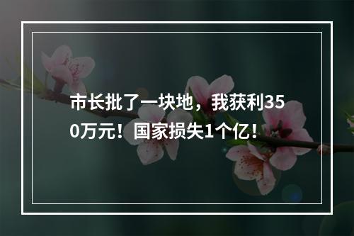 市长批了一块地，我获利350万元！国家损失1个亿！