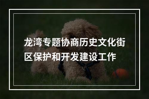 龙湾专题协商历史文化街区保护和开发建设工作