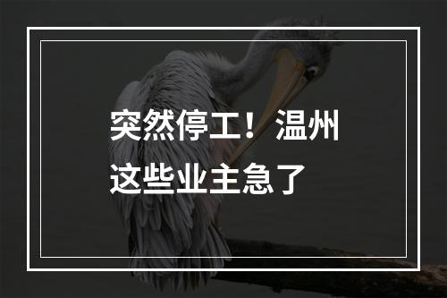突然停工！温州这些业主急了