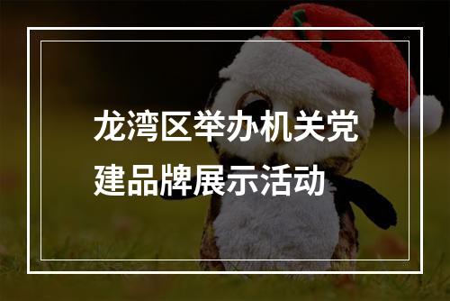 龙湾区举办机关党建品牌展示活动