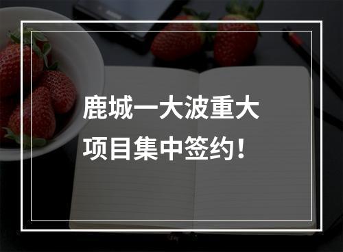 鹿城一大波重大项目集中签约！