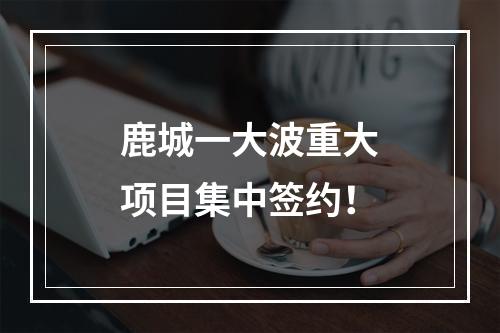 鹿城一大波重大项目集中签约！
