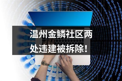 温州金鳞社区两处违建被拆除！