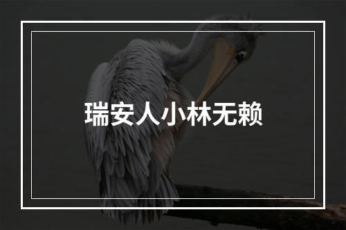 瑞安人小林无赖