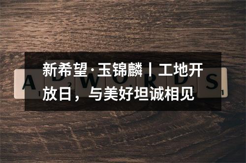 新希望·玉锦麟丨工地开放日，与美好坦诚相见